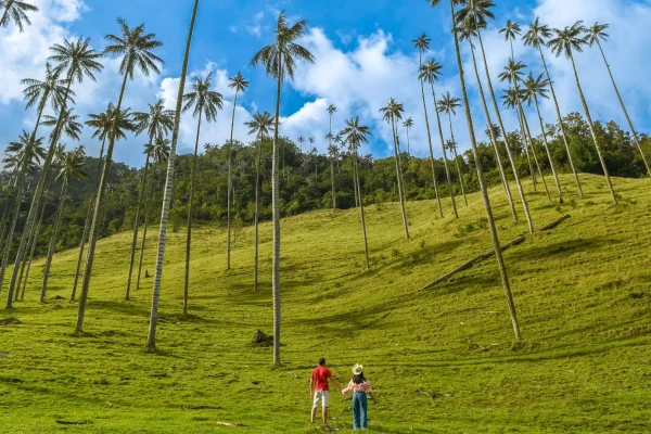 Ruta Puebliando por el Corazón del Quindío