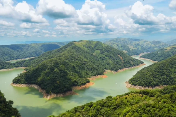 Plan Premium “Norcasia Signature”