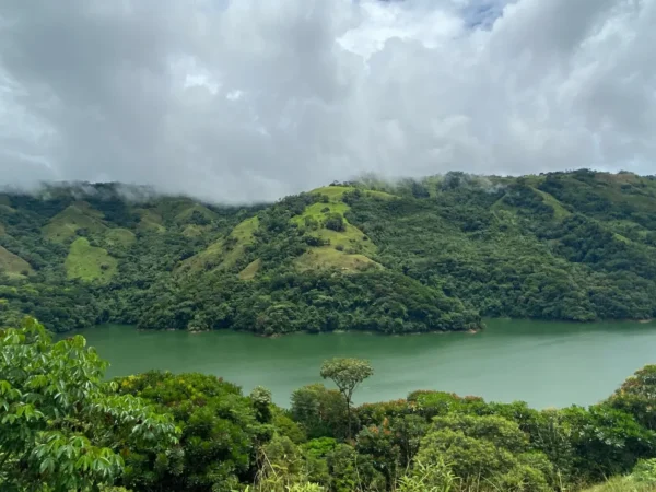 Norcasia: Plan Esencial “Raíces del Agua”
